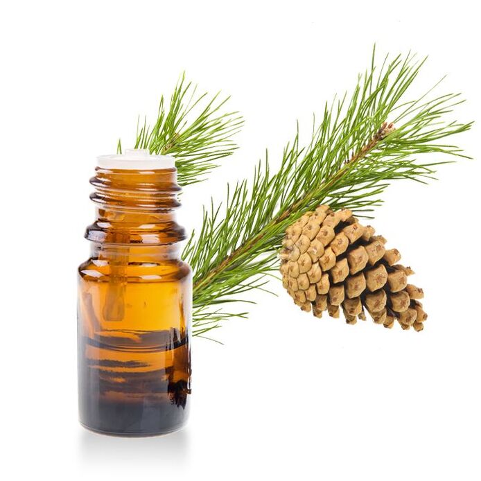 FIR ekstraktas kaip „Hondroine Gel“ dalis